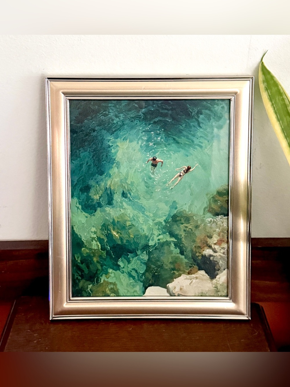 Ocean Swimming Cenote River Abstract Birds Eye View Canvas Print Metal Frame Art